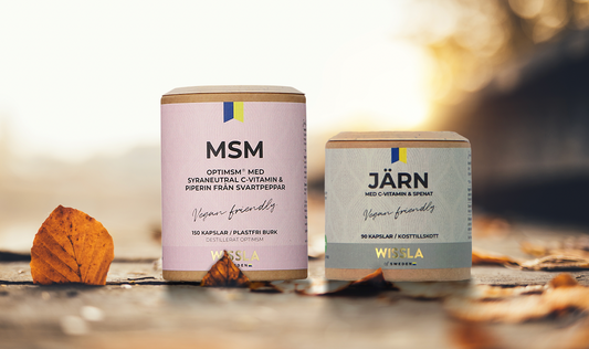 Boosta din energi i höst med MSM och Järn!